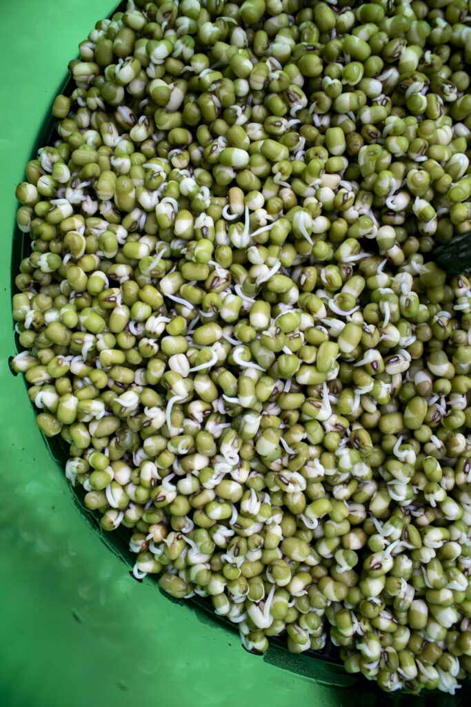 filiz 1 min scaled 1