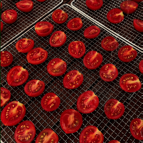 Kurutucuda Domates Kurusu 9 pinar aluc 1